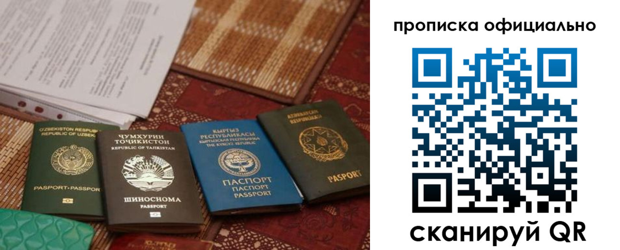 где прописаться в Фрязино